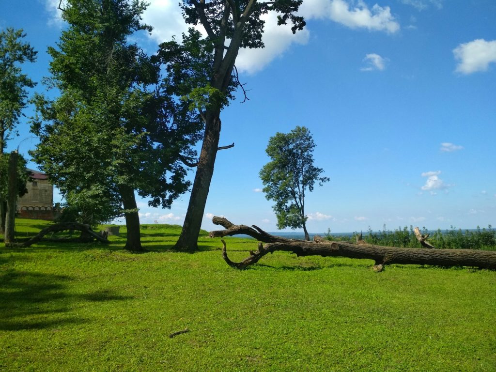 obrezovanje dreves